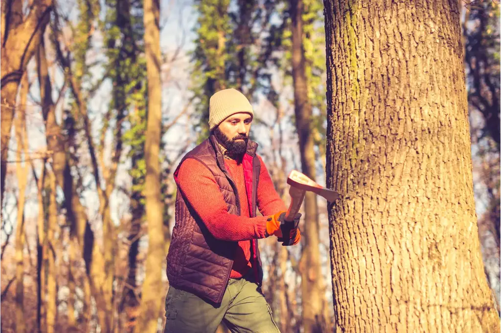 Man-Cutting-Down-Oak-Tree.webp