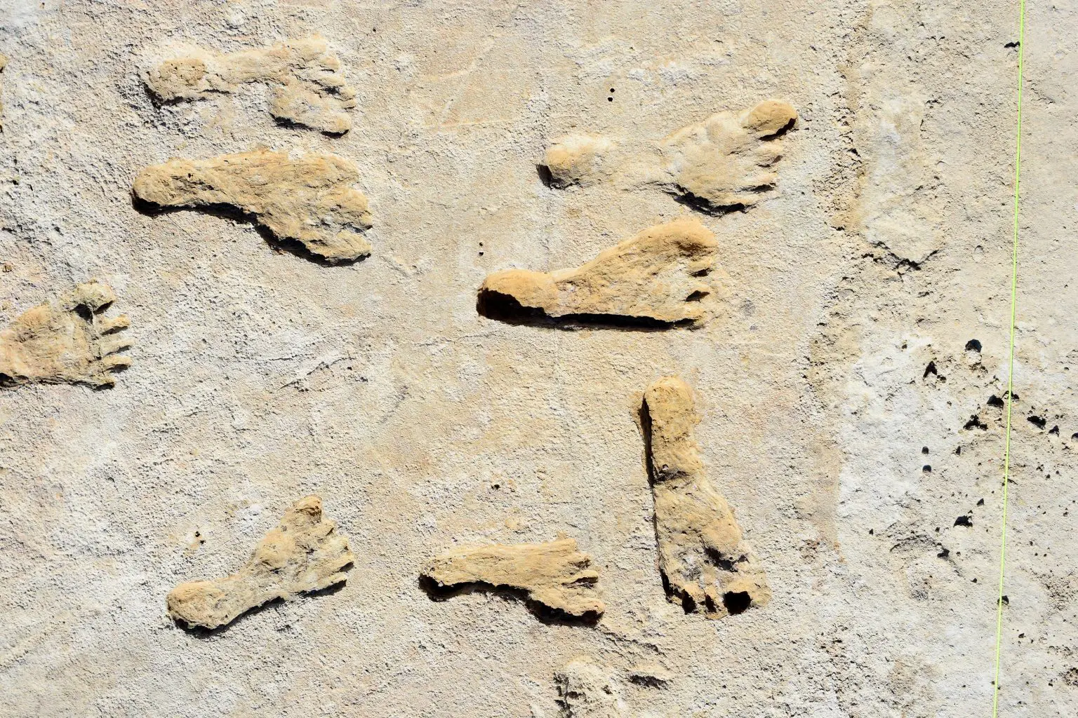 Fossilized-Footprints-in-White-Sands-National-Park-1536x1024.webp