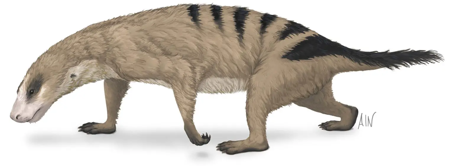 Thrinaxodon-1536x564.webp