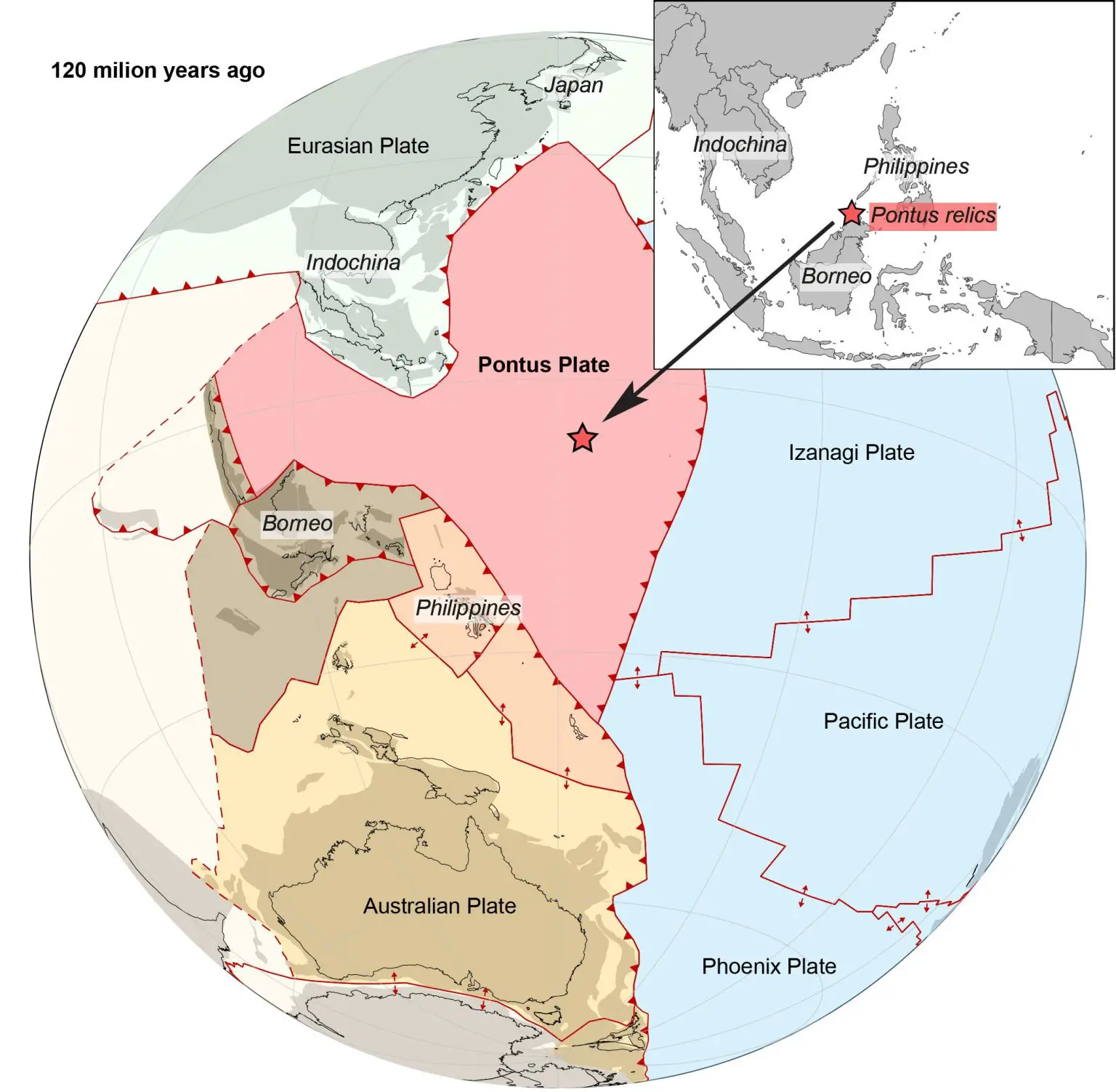Pontus-Oceanic-Mega-Plate-1536x1503.webp