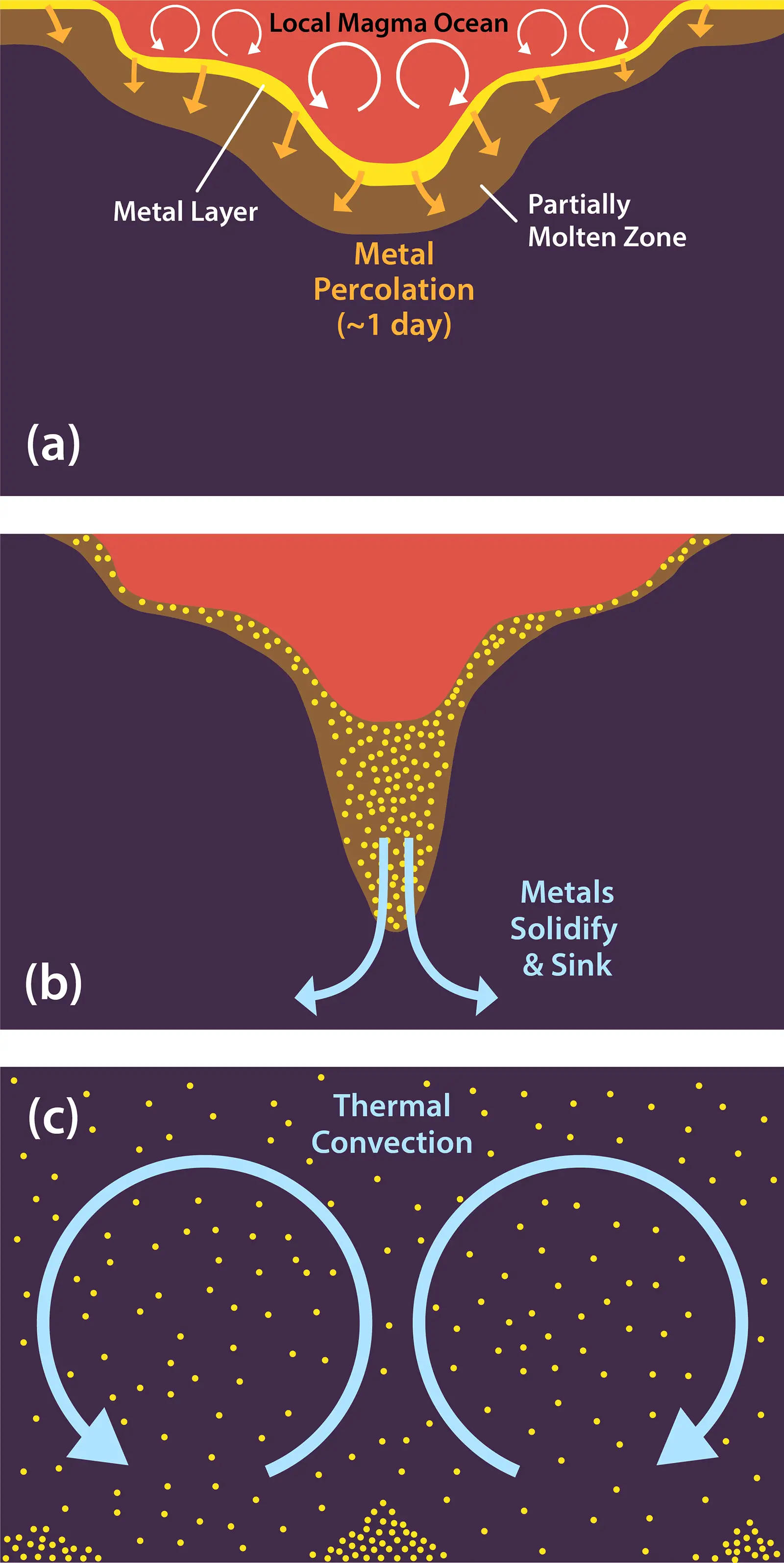 Metal-Mantle-Redraw.webp