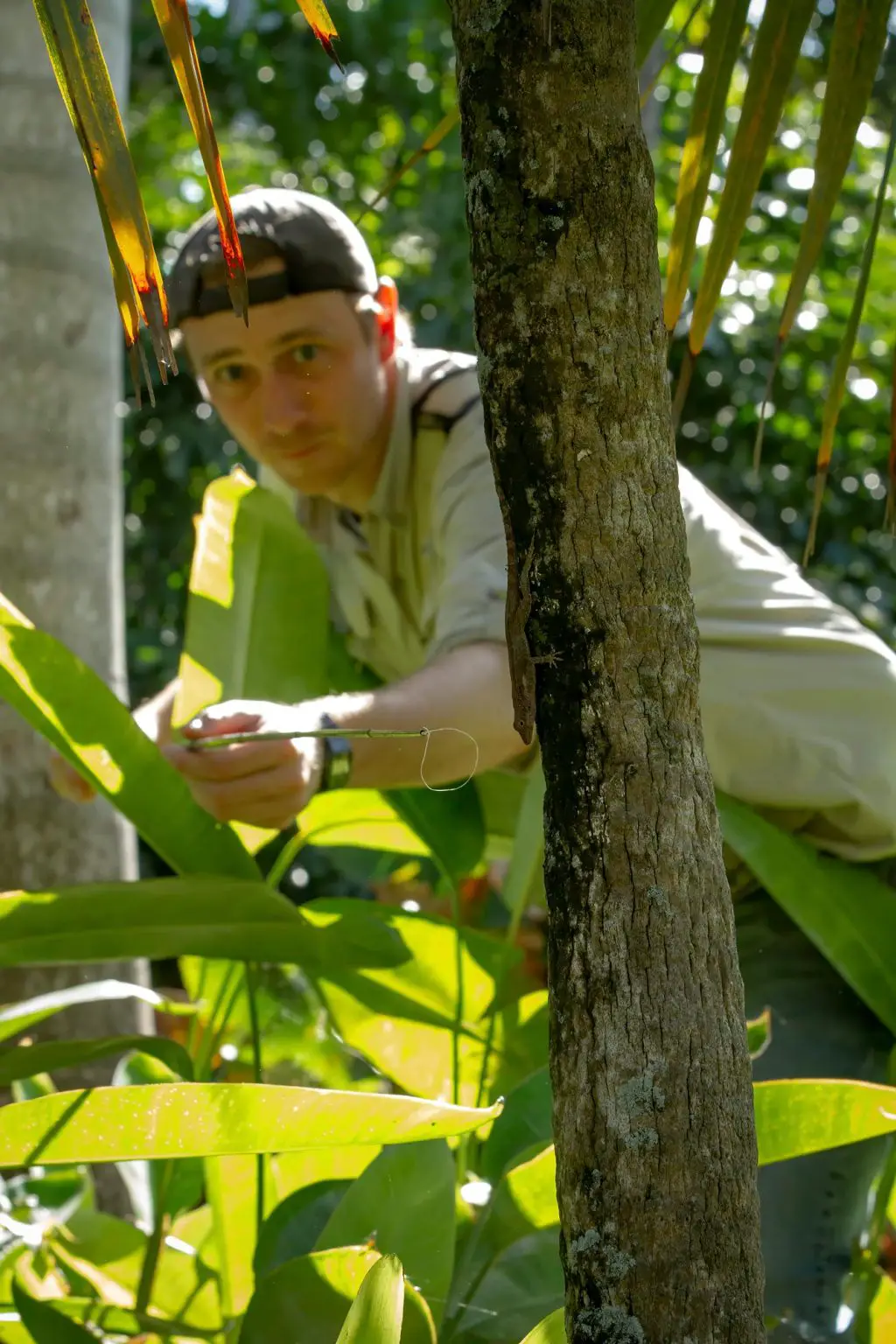 James-Stroud-Catching-Lizard-1024x1536.webp