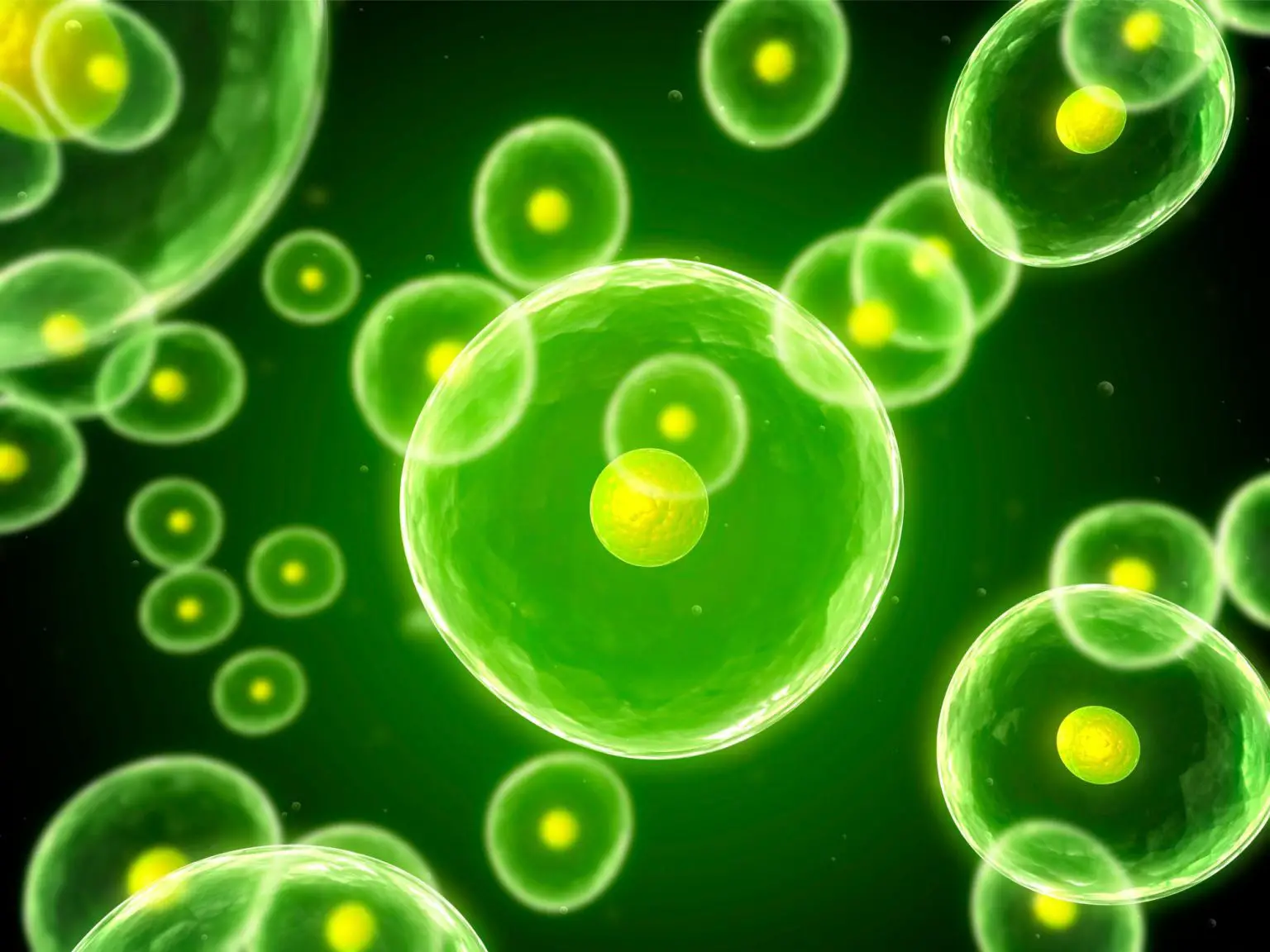 Glowing-Green-Cells-1536x1152.webp