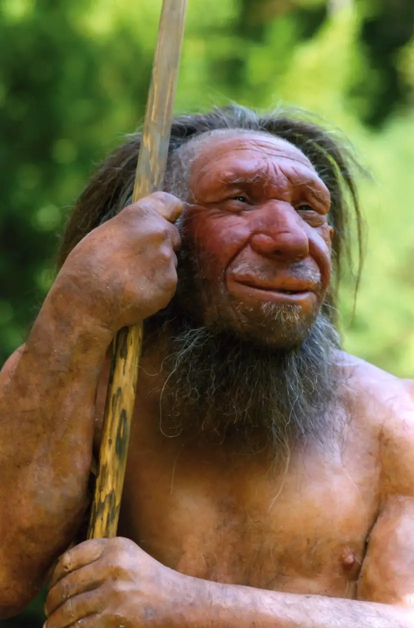 Neanderthal-Reconnstruction-scaled.webp