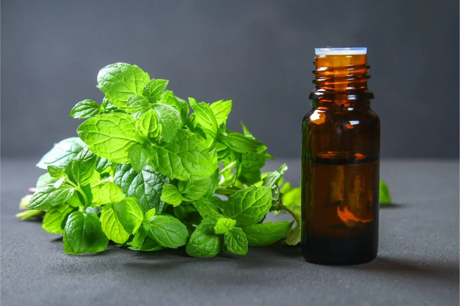 Peppermint-Oil-1536x1024.webp