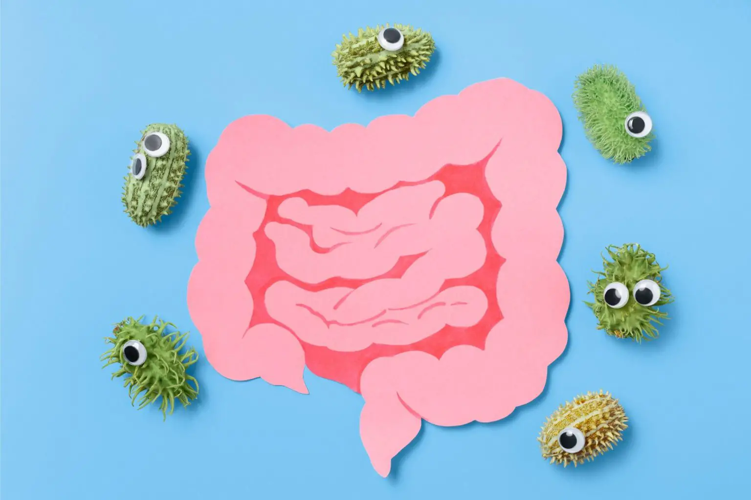 Prebiotics-Gut-1536x1024.webp