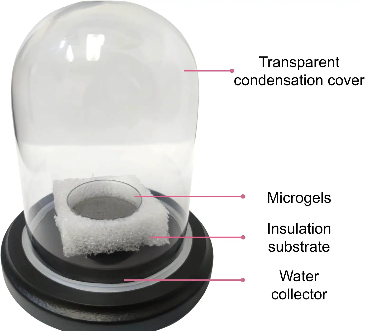 Molecularly-Engineered-Hydrogel-Prototype-Device-1536x1394.webp
