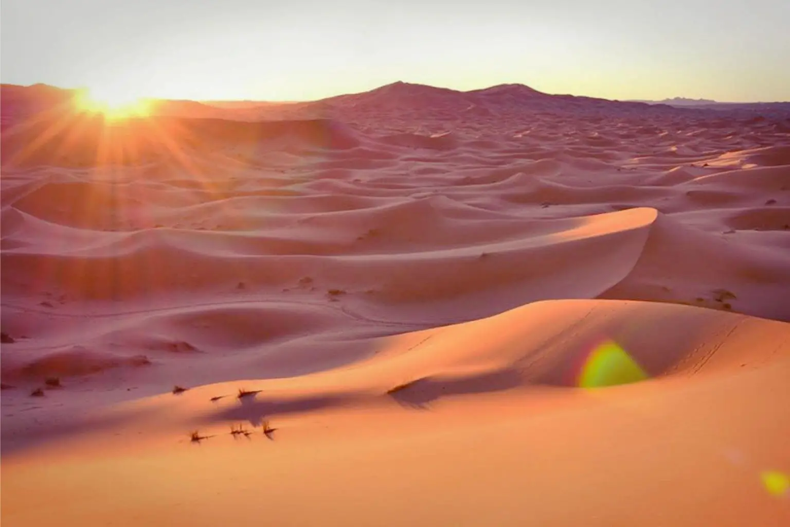 Sahara-Desert-1-1536x1024.webp