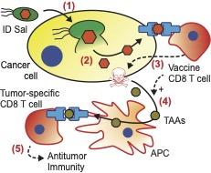NEWS-Forbes_Neil_Cancer_Figure.jpg