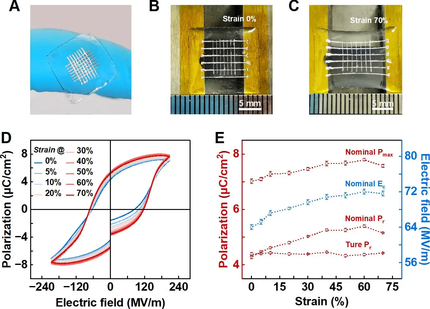The-Elastic-Ferroelectrics-Under-70-Strain.webp