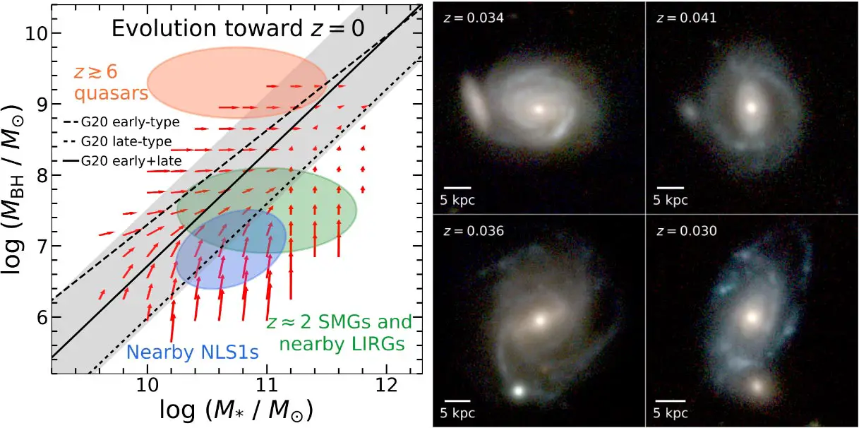 Black-Hole-Evolutionary-Paths.webp