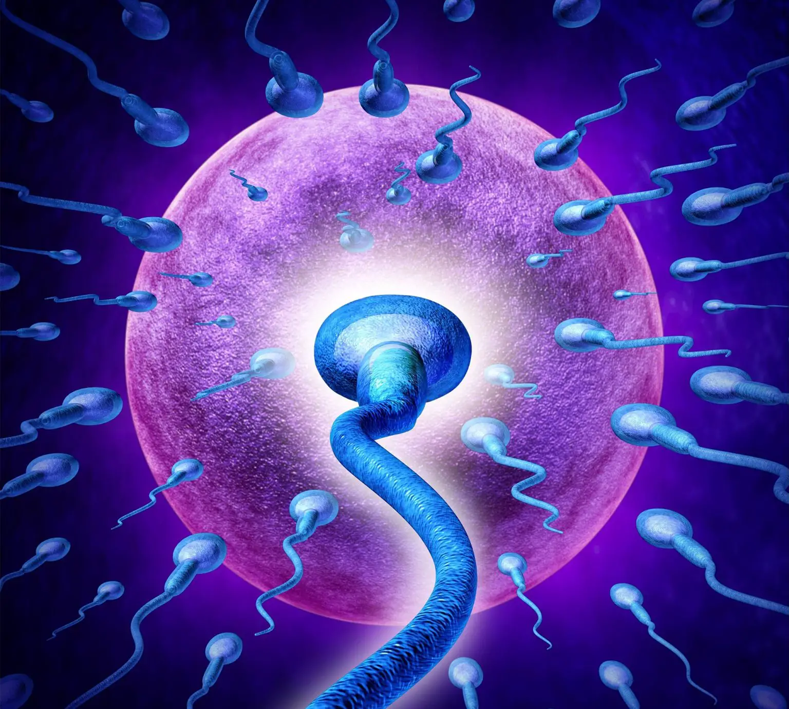 Sperm-Egg-Human-Fertility-Concept-1536x1382.webp