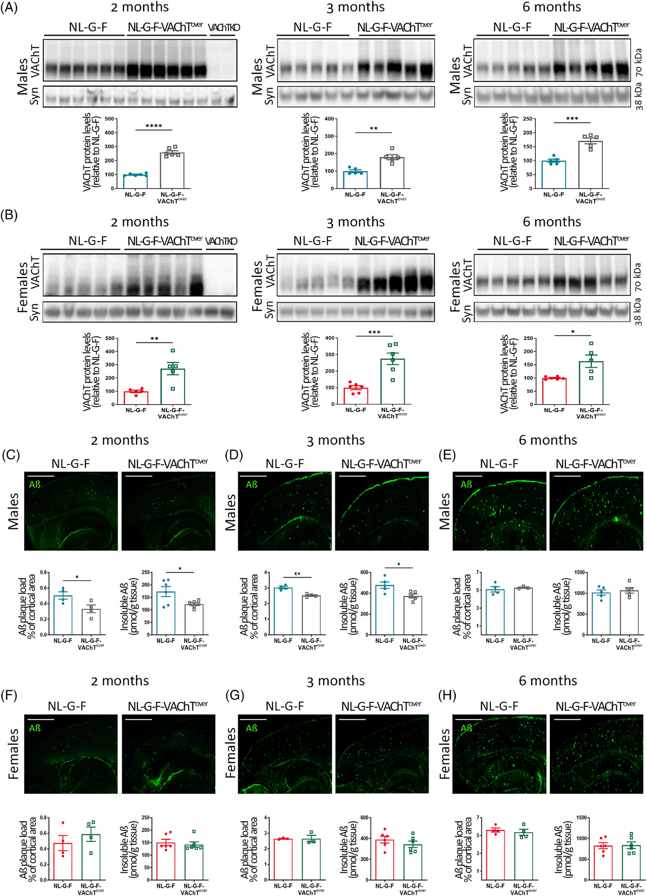 alz13481-fig-0002-m.jpg