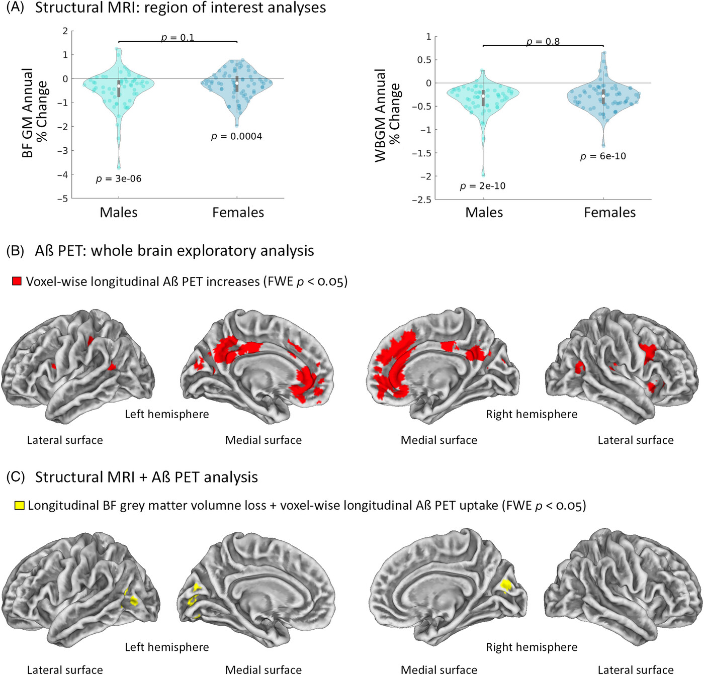 alz13481-fig-0006-m.jpg