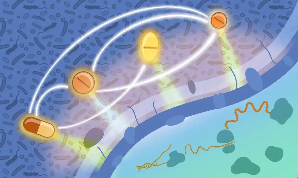 Antimicrobial-Drugs-Targeting-Different-Components-of-Bacterial-Cells.webp