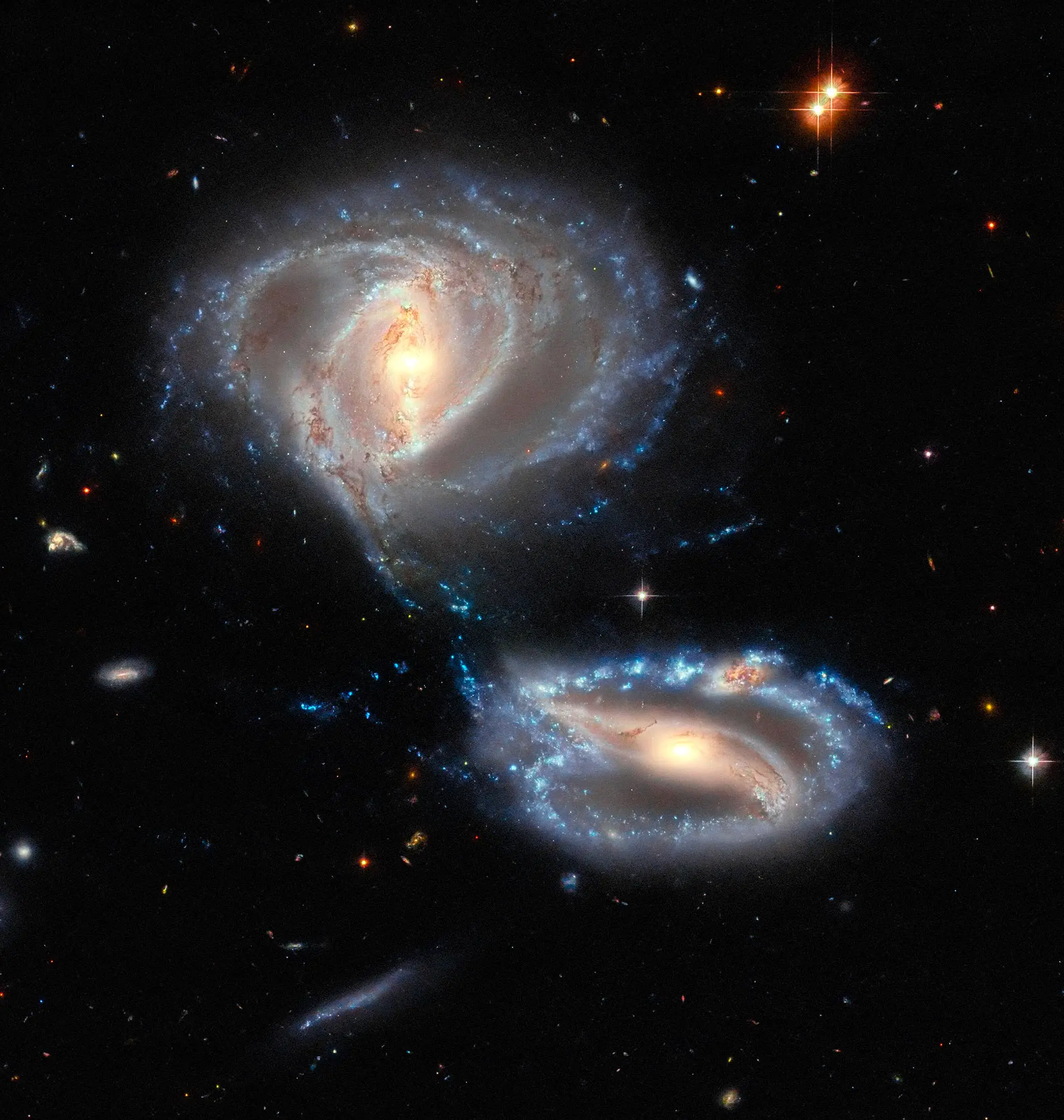 Arp-Madore-2339-661.webp