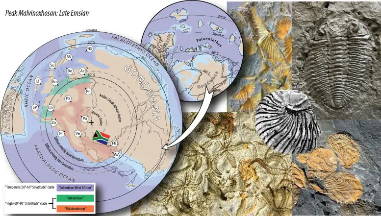 Geographic-Reconstruction-of-Earth-During-the-Devonian-Period-Showing-South-Africas-Location-at-the-South-Pole-and-the-Extent-of-the-Malvinoxhosan-Biotas-777x441.webp