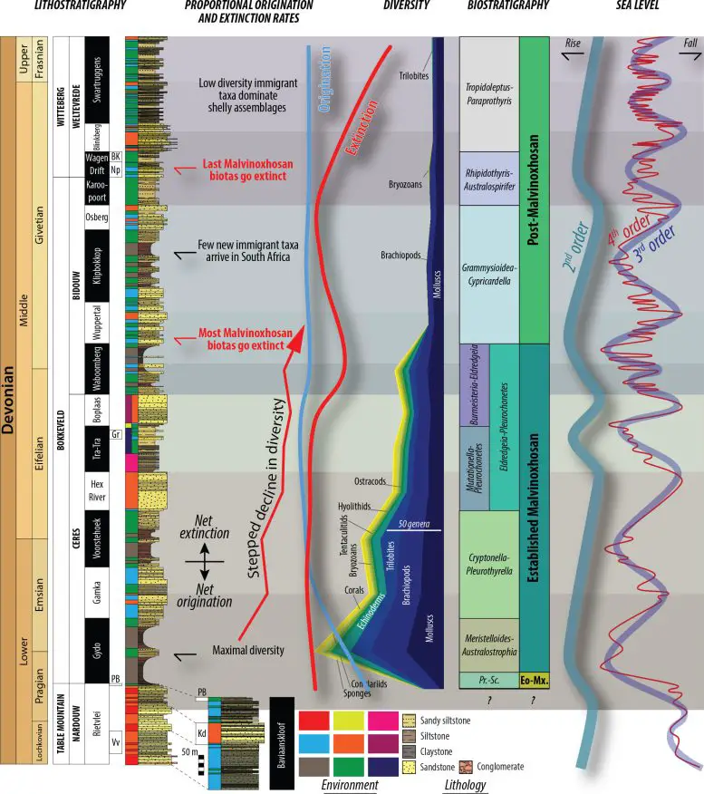 Simplified-Diagram-Showing-the-Relationship-Between-Changes-in-Sea-Level-and-Environment-With-Biodiversity-Through-Time-in-South-Africa-During-the-Early-Middle-Devonian-777x876.webp
