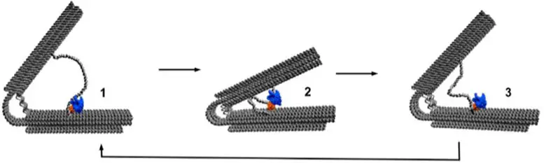 Leaf-Spring-Engine-Operation-Schematic.webp