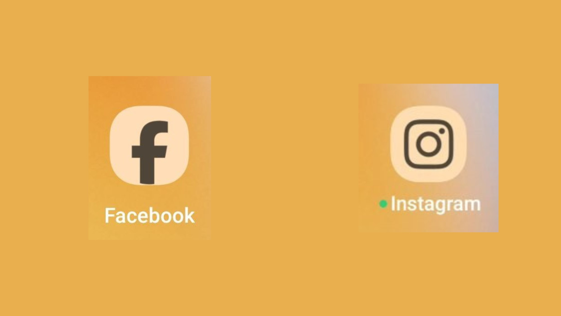 1698076422_fb_insta.jpg