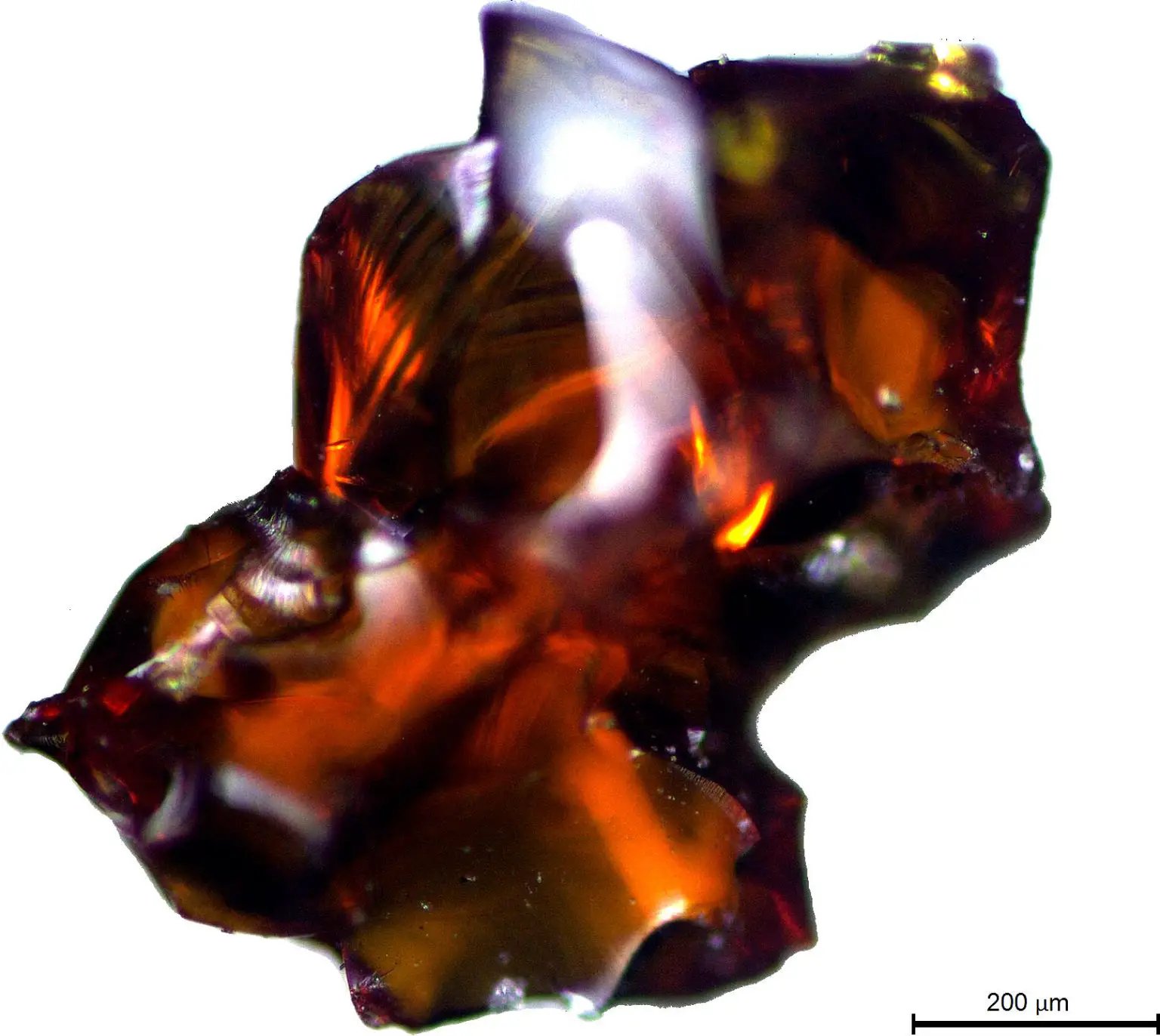 Shard-of-Amber-1536x1372.webp