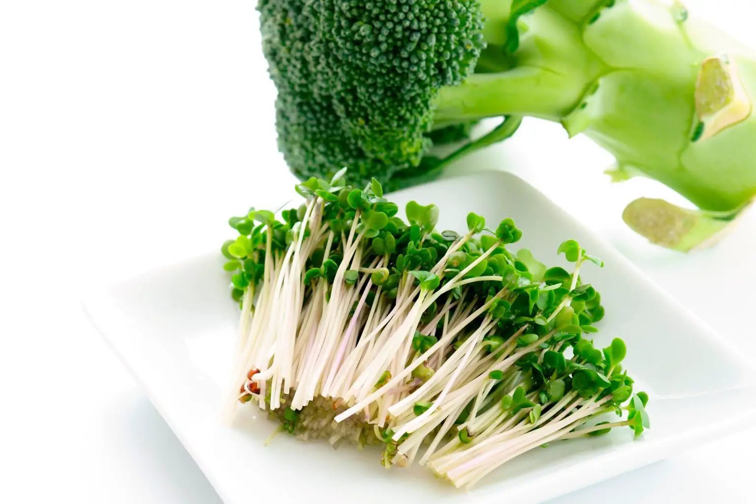 Broccoli-and-Broccoli-Sprouts-1536x1024.webp