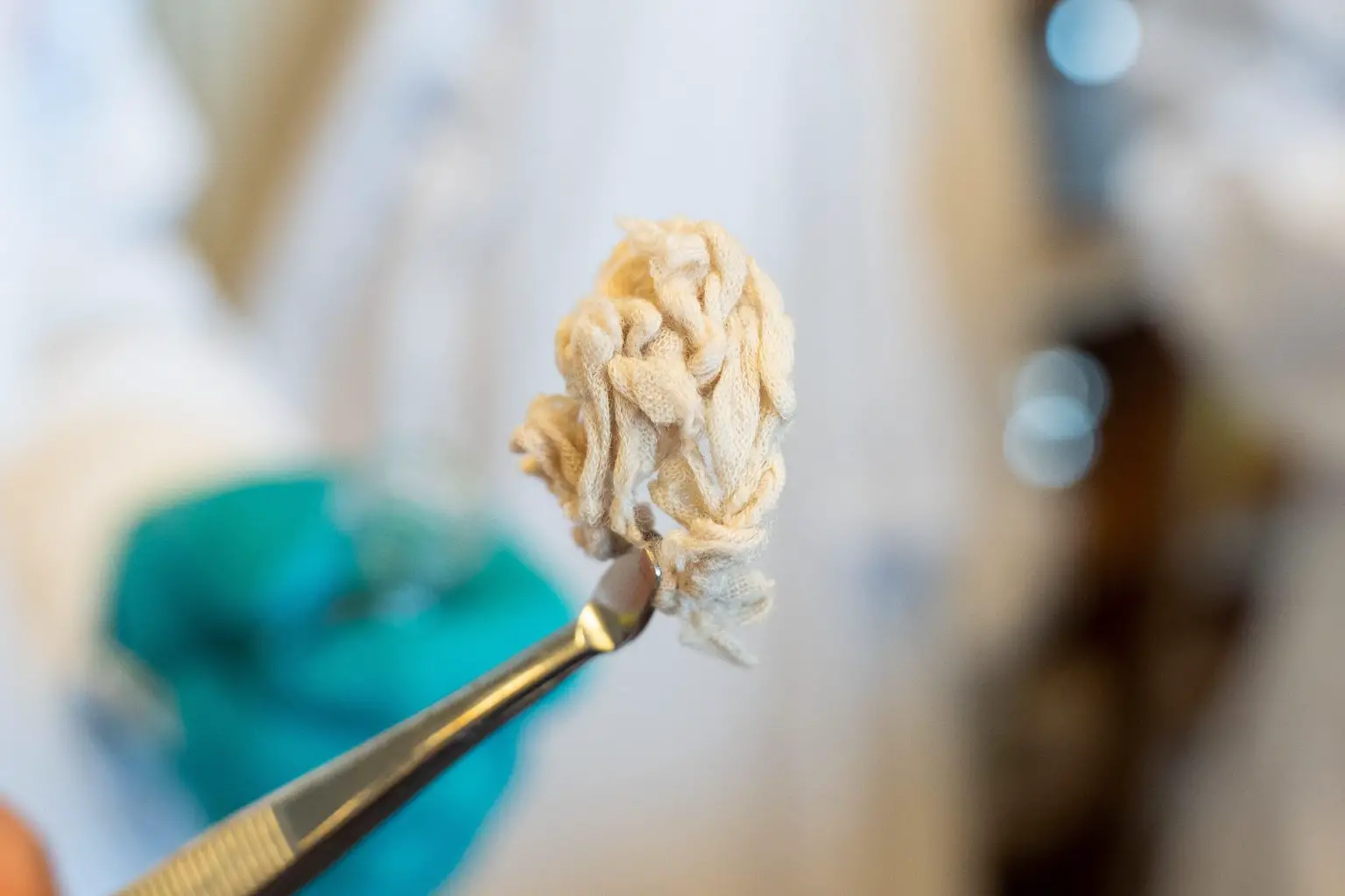 Intact-Cotton-Fibers-After-the-Process-1536x1024.webp