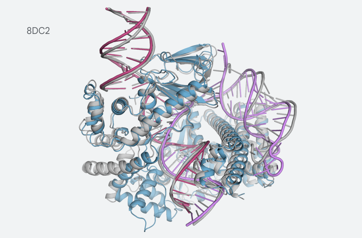 unnamed.webp