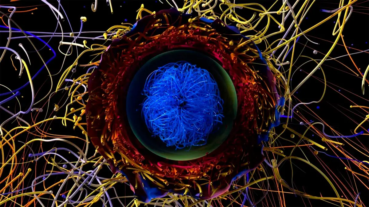 3D-Simulation-Supernova-Explosion-Neutron-Star-Birth.webp