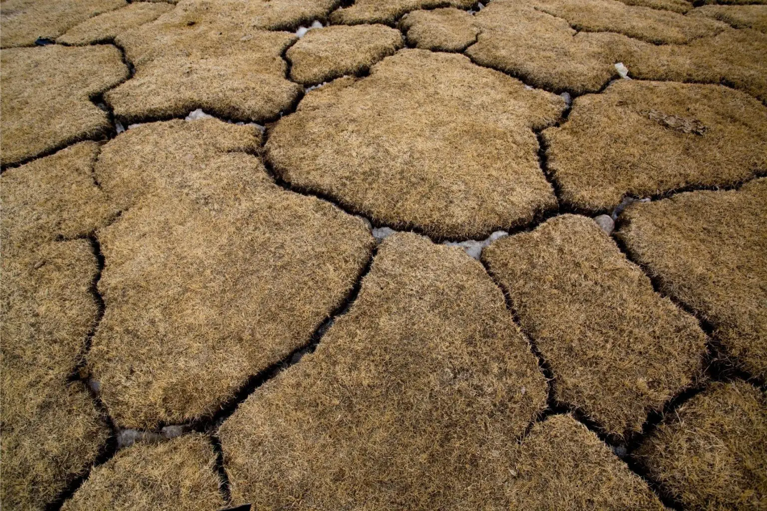 Permafrost-1536x1024.webp