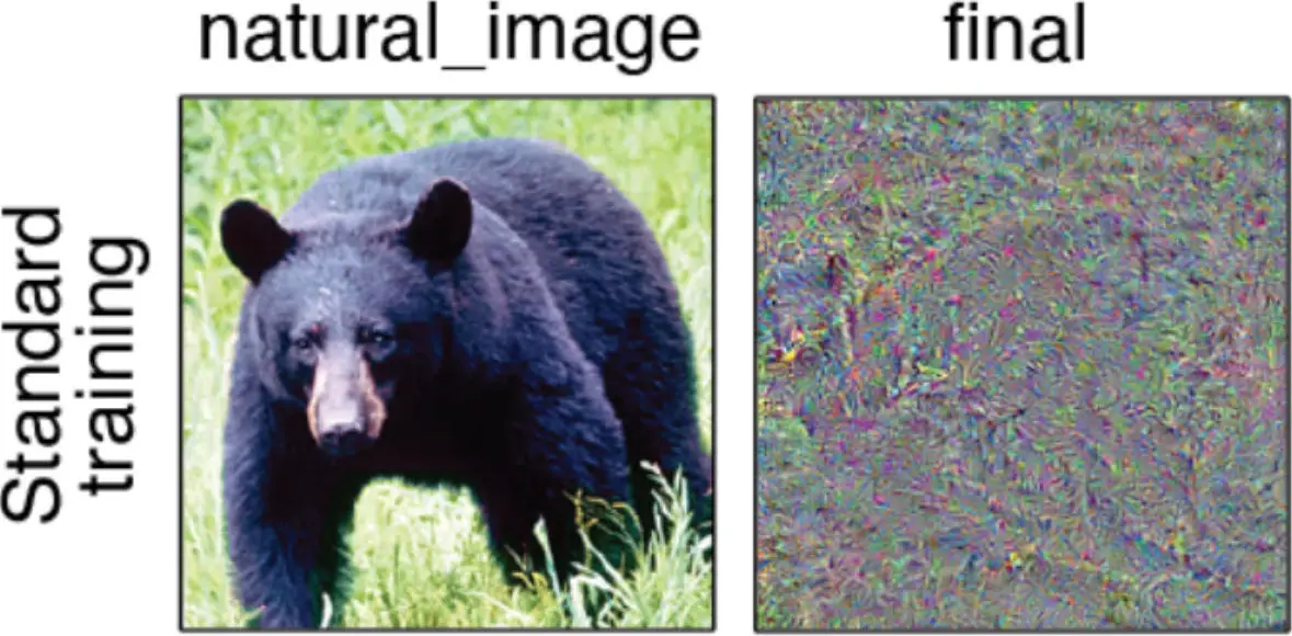 Neural-Network-Comparison-Images.webp