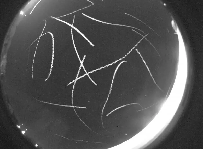 NASA-All-Sky-Fireball-Network-Broomstick-Convention.webp