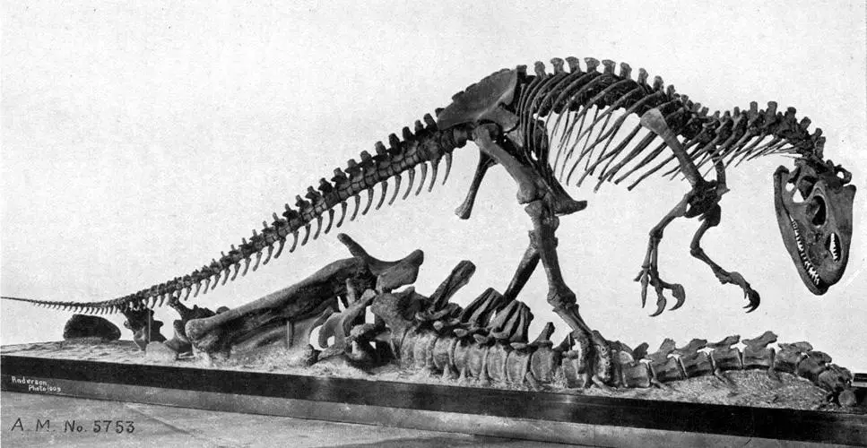 Skeletal-Mount-of-Allosaurus-Specimen.webp