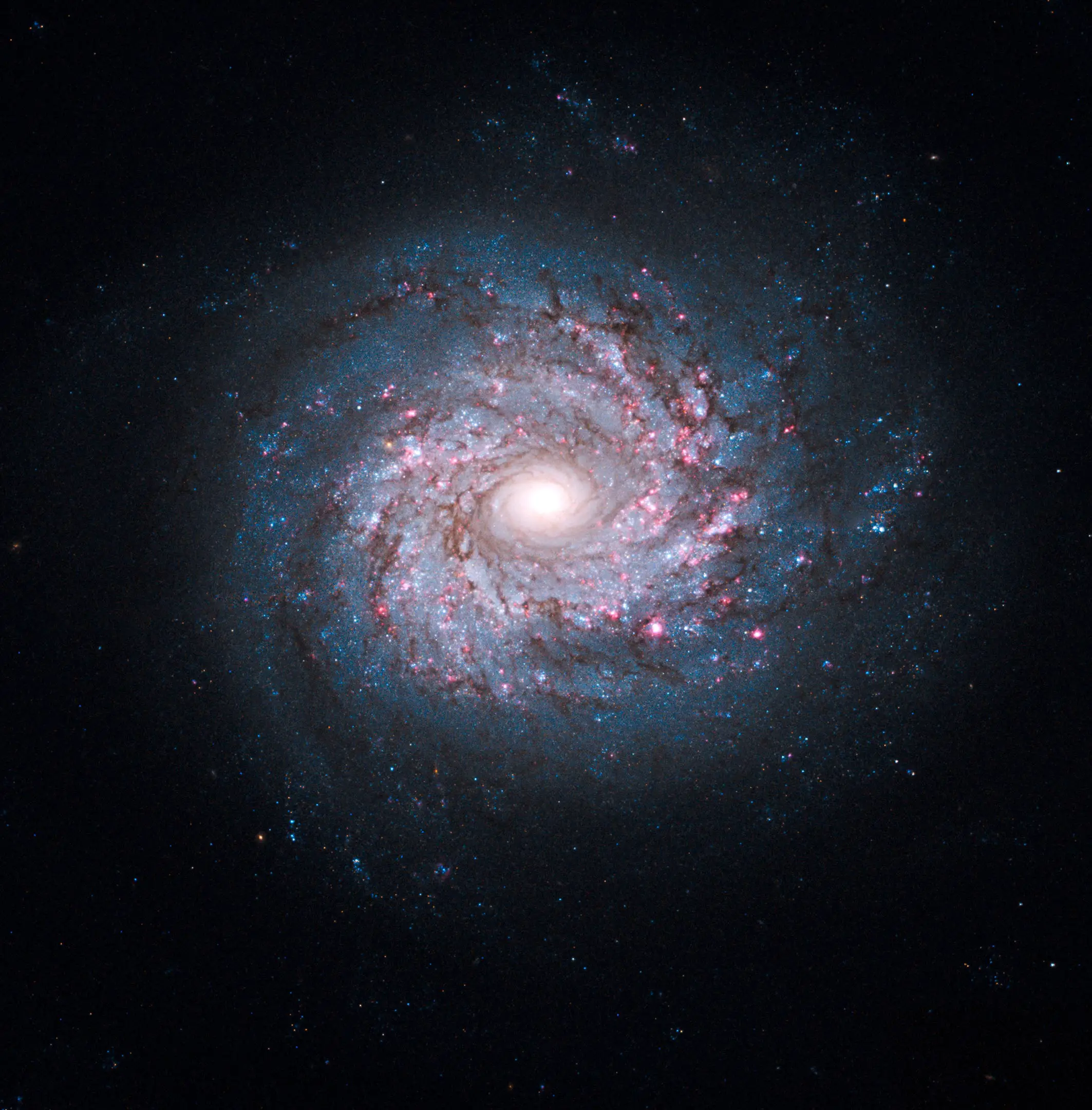Spiral-Galaxy-NGC-3982.webp