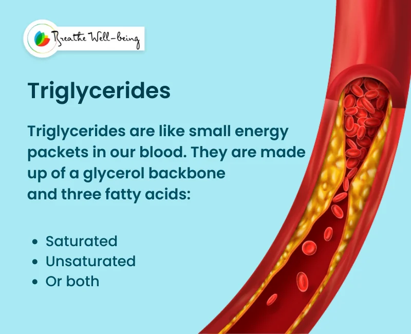 What-Are-Triglycerides_.webp