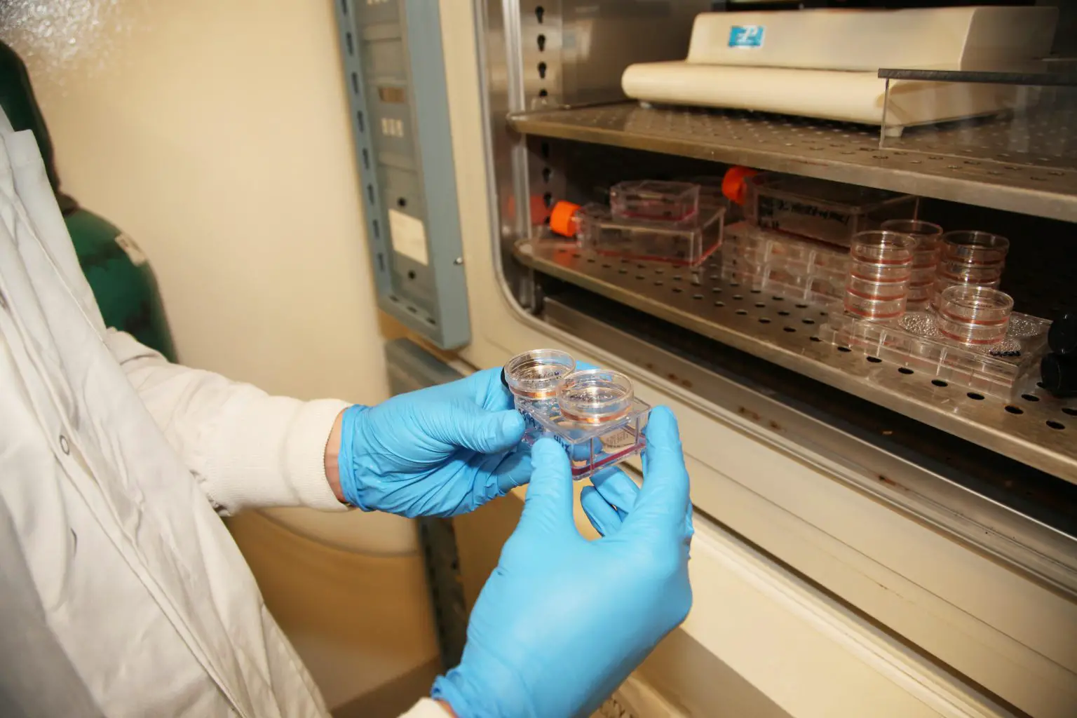 Researcher-Working-With-Human-Tissue-Culture-Cells-Barr-Lab-1536x1024.webp