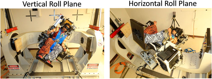 fphys-14-1249962-g001.jpg