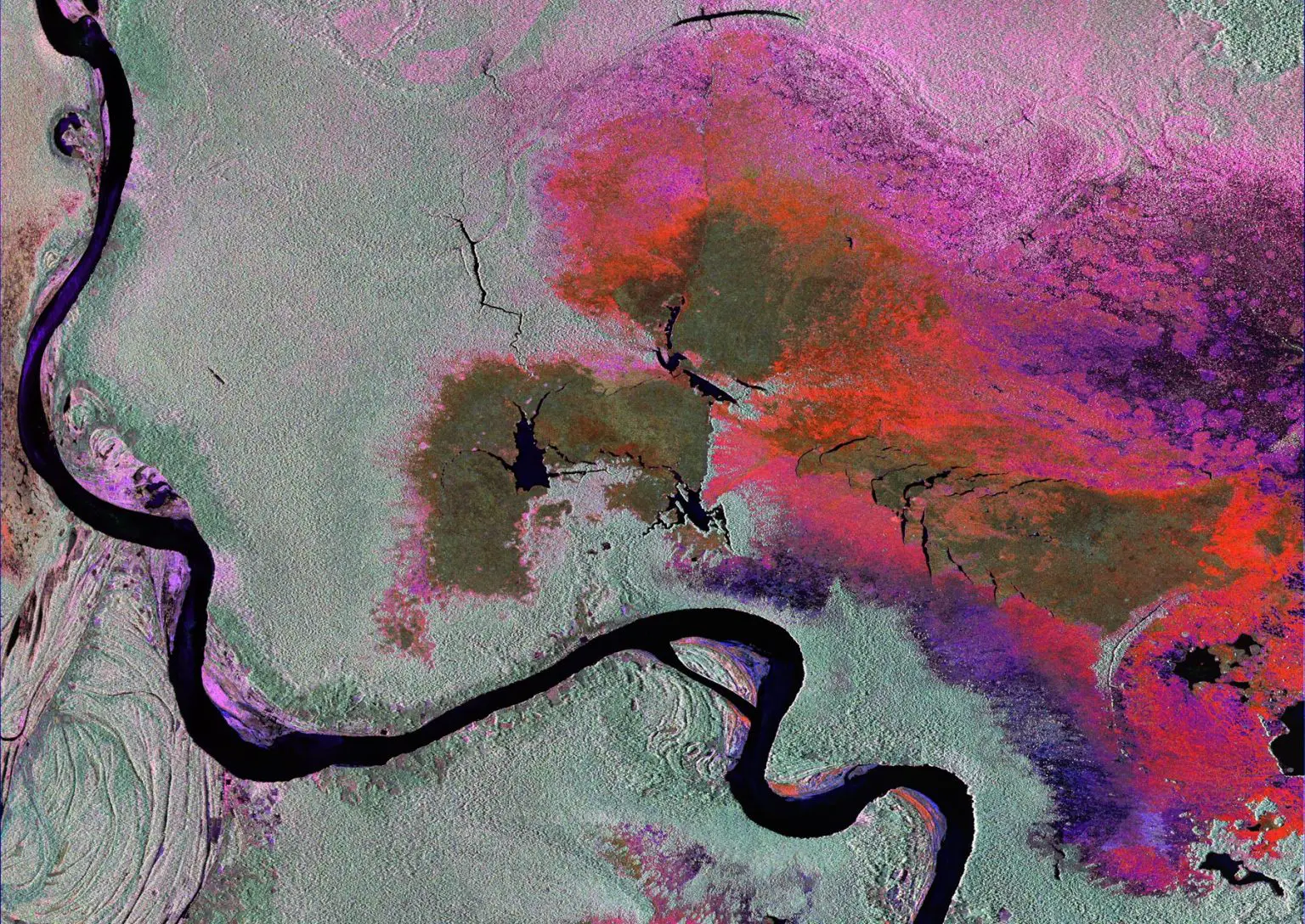 Peru-Wetland-Flooding-1536x1088.webp
