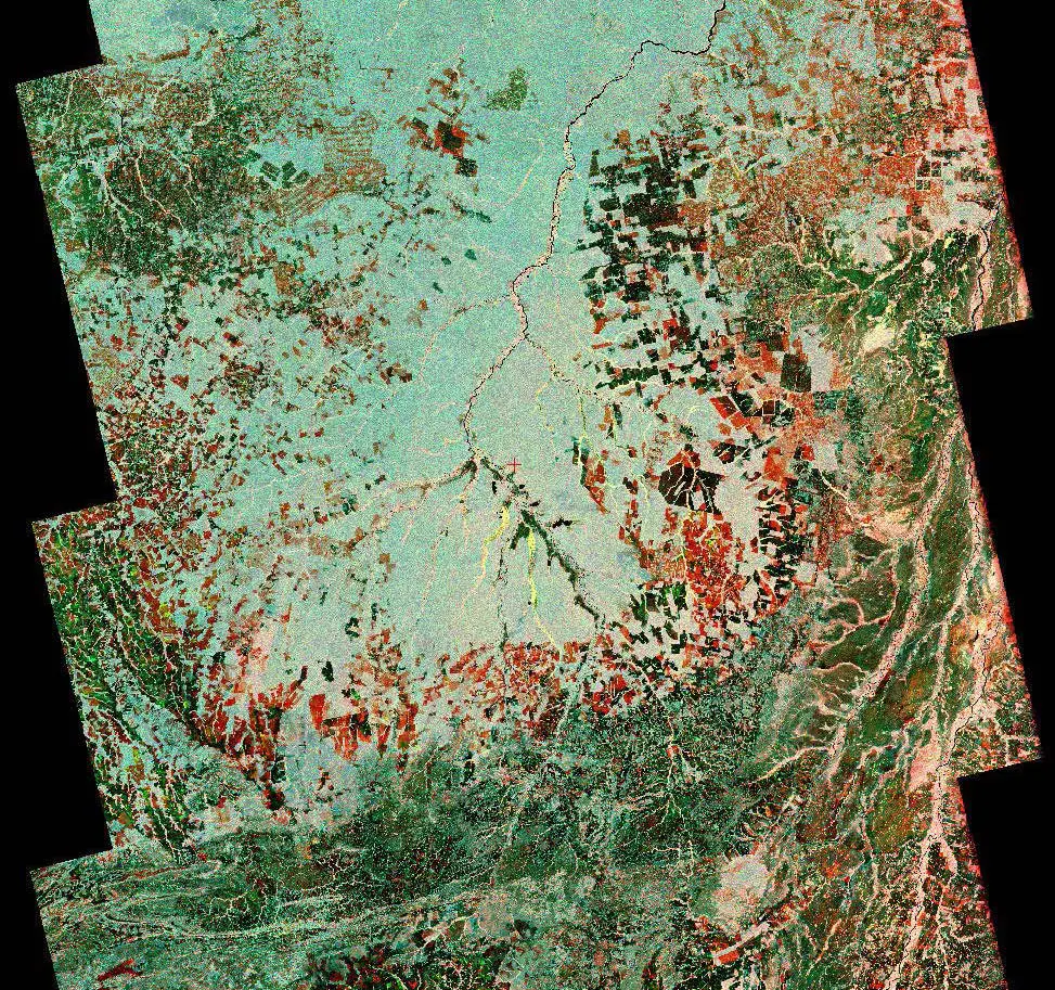 Brazil-Xingu-River-Basin.webp