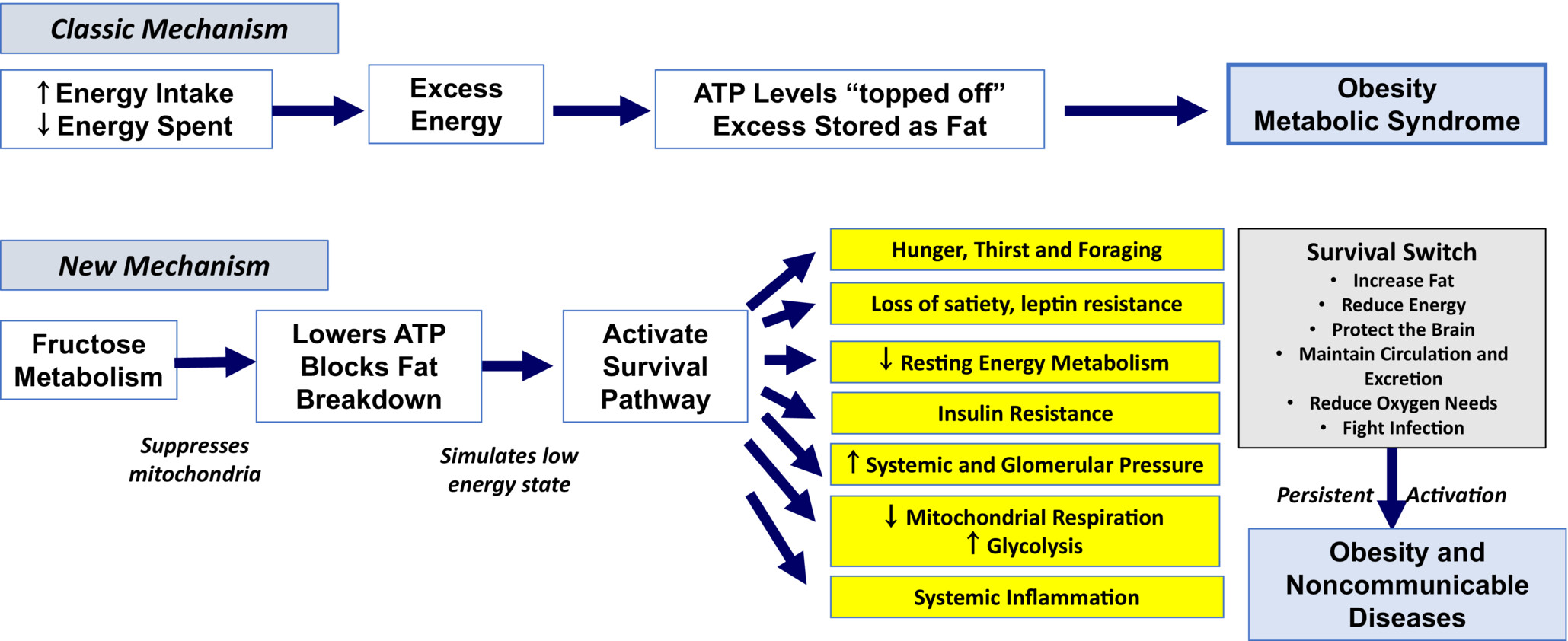 oby23920-fig-0001-m.jpg