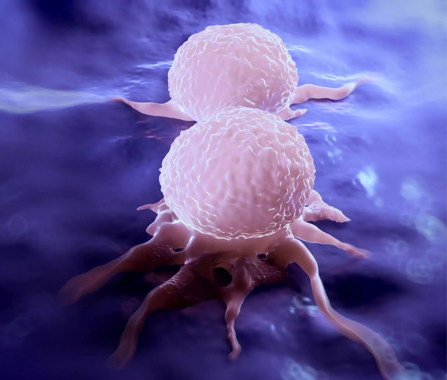 Breast-Cancer-Cells-Dividing-Illustration-1536x1306.webp