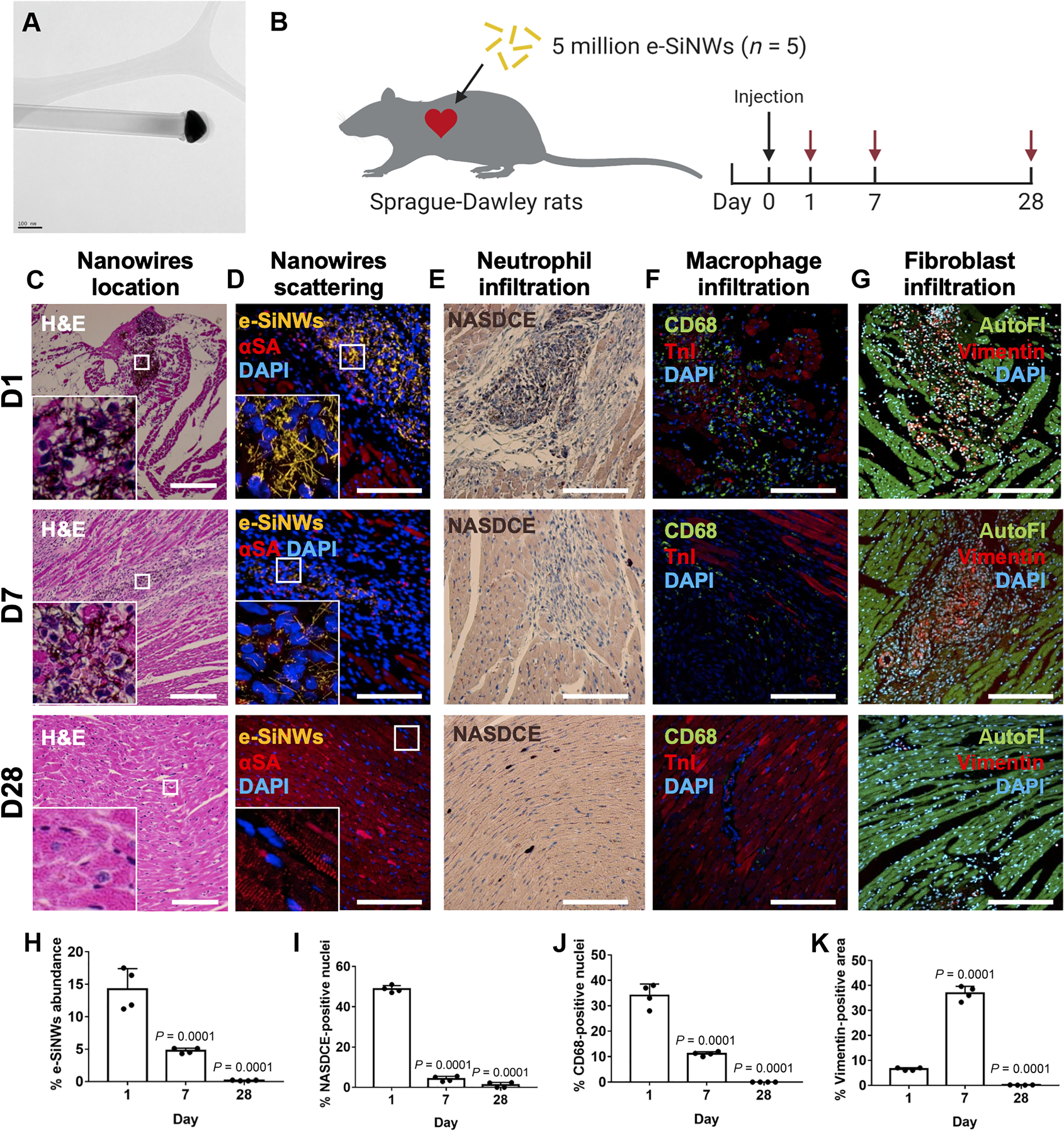 sciadv.adf2898-f1.jpg