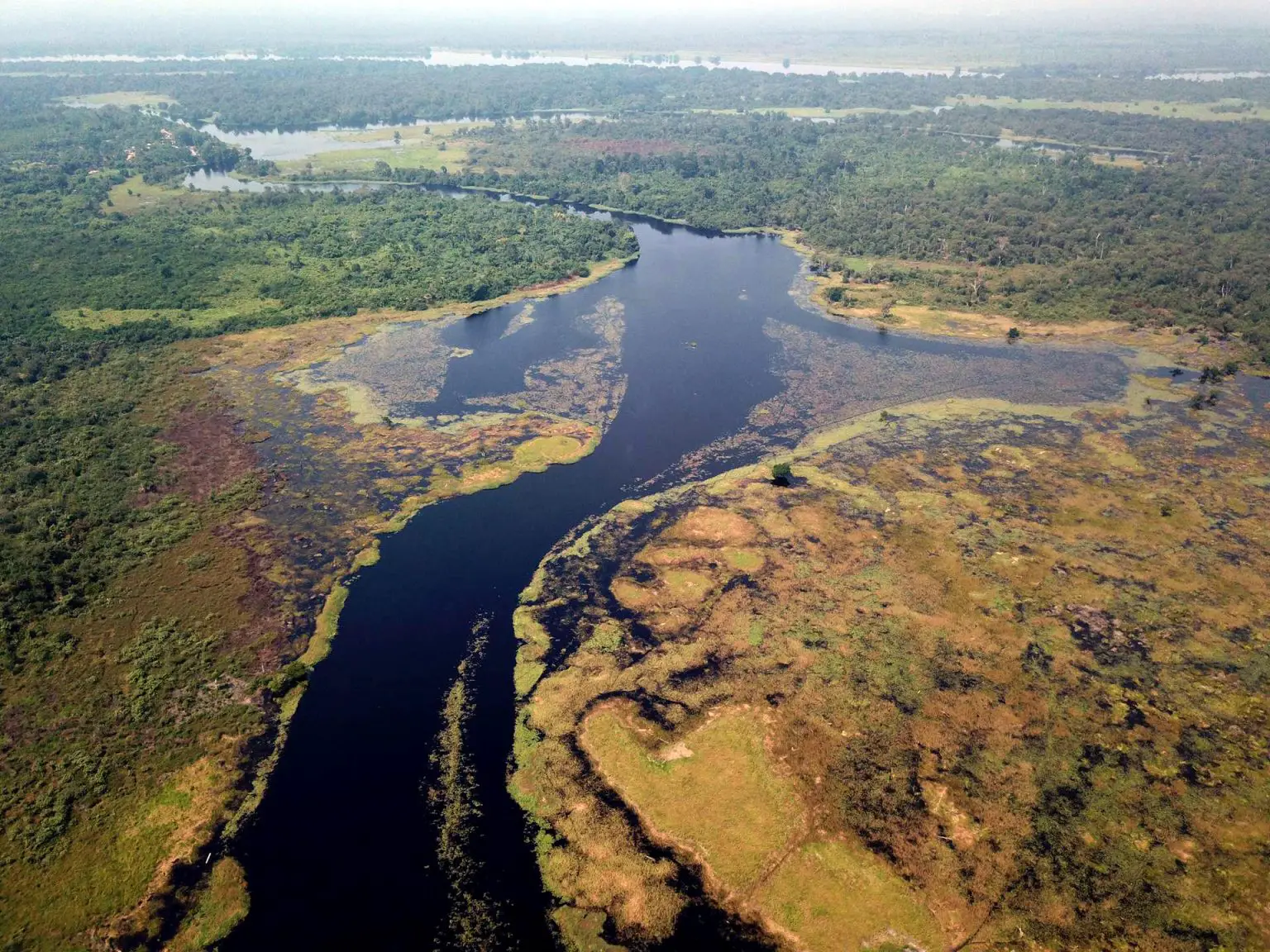 Ruki-River-Congo-Basin-1536x1152.webp