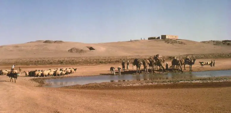 Tell-Abu-Hureyra-in-Northern-Syria-777x380.webp
