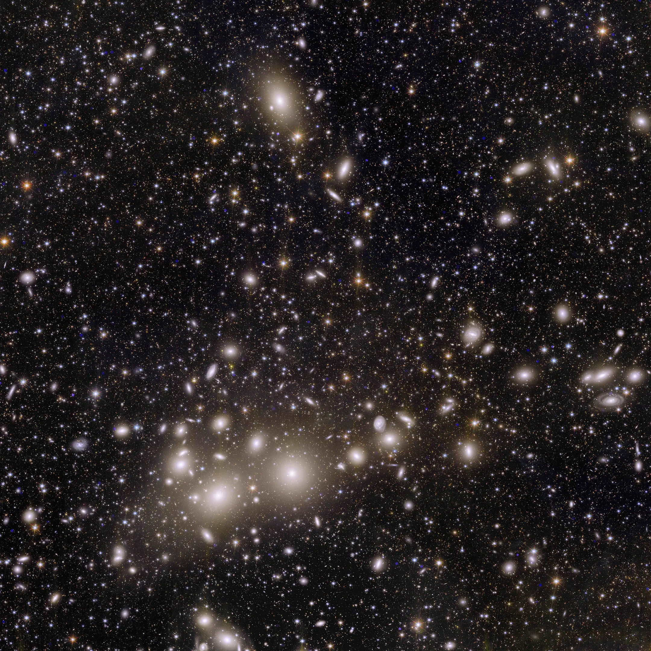 Euclid-Perseus-Cluster-of-Galaxies.webp
