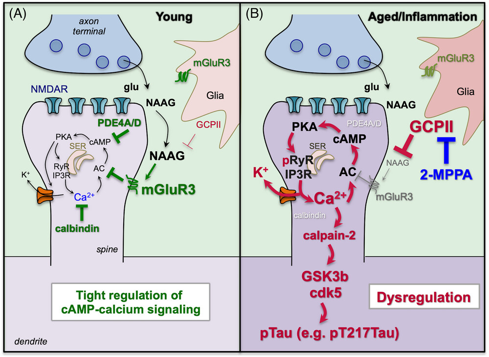 trc212431-fig-0001-m.jpg