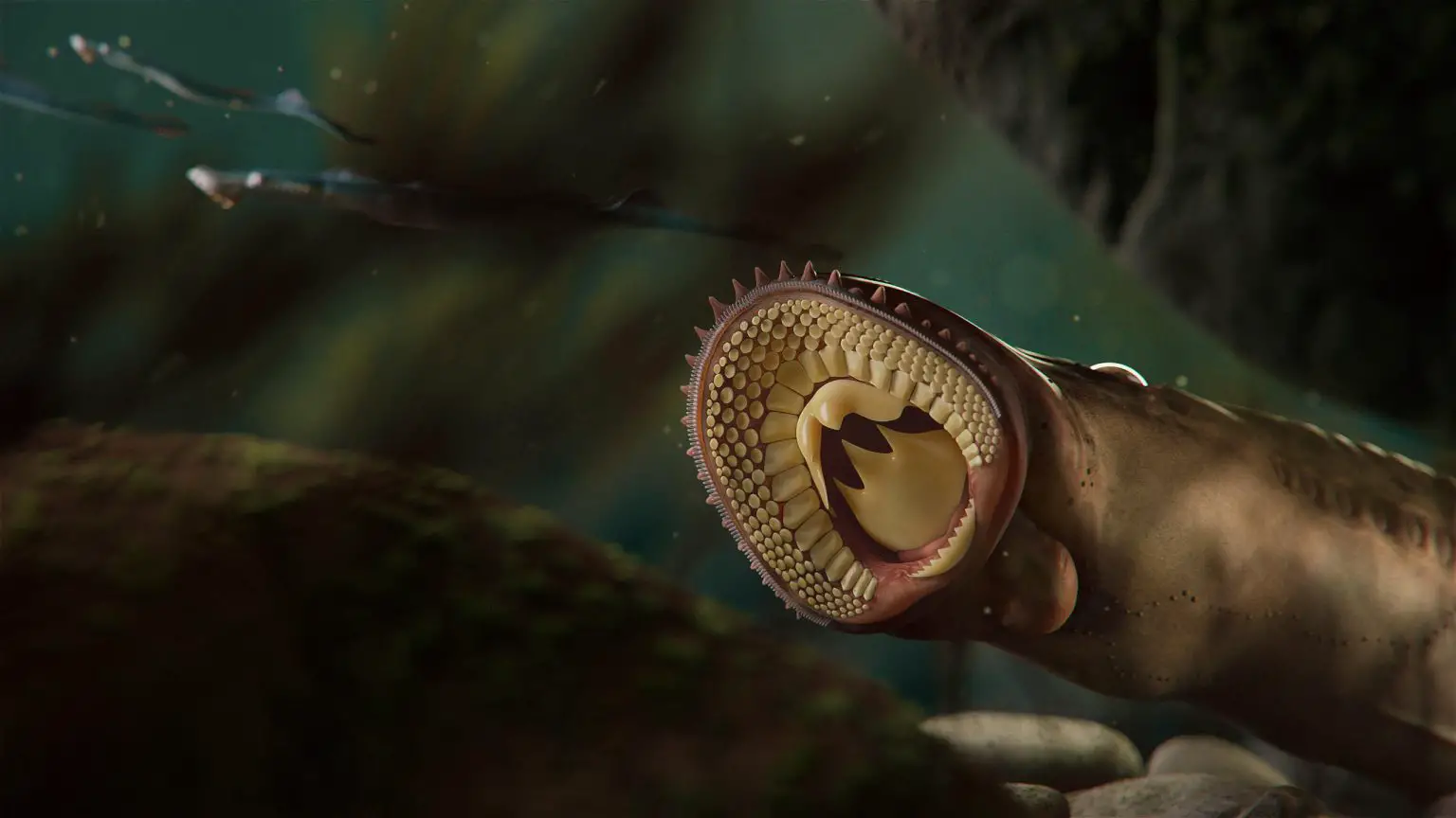 Reconstruction-of-the-Jurassic-Lampreys-Yanliaomyzon-1536x864.webp