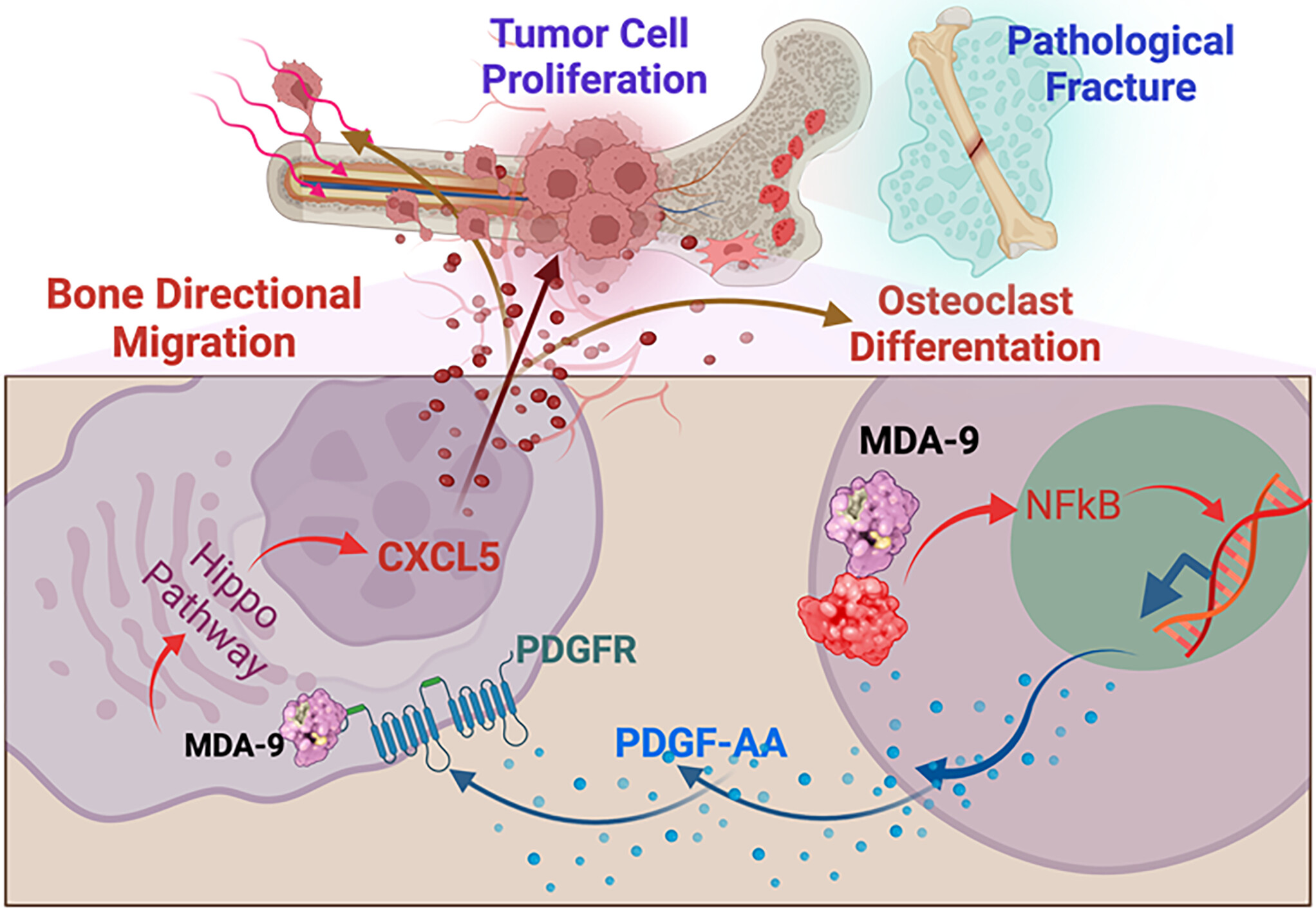 pnas.2307094120fig09.jpg