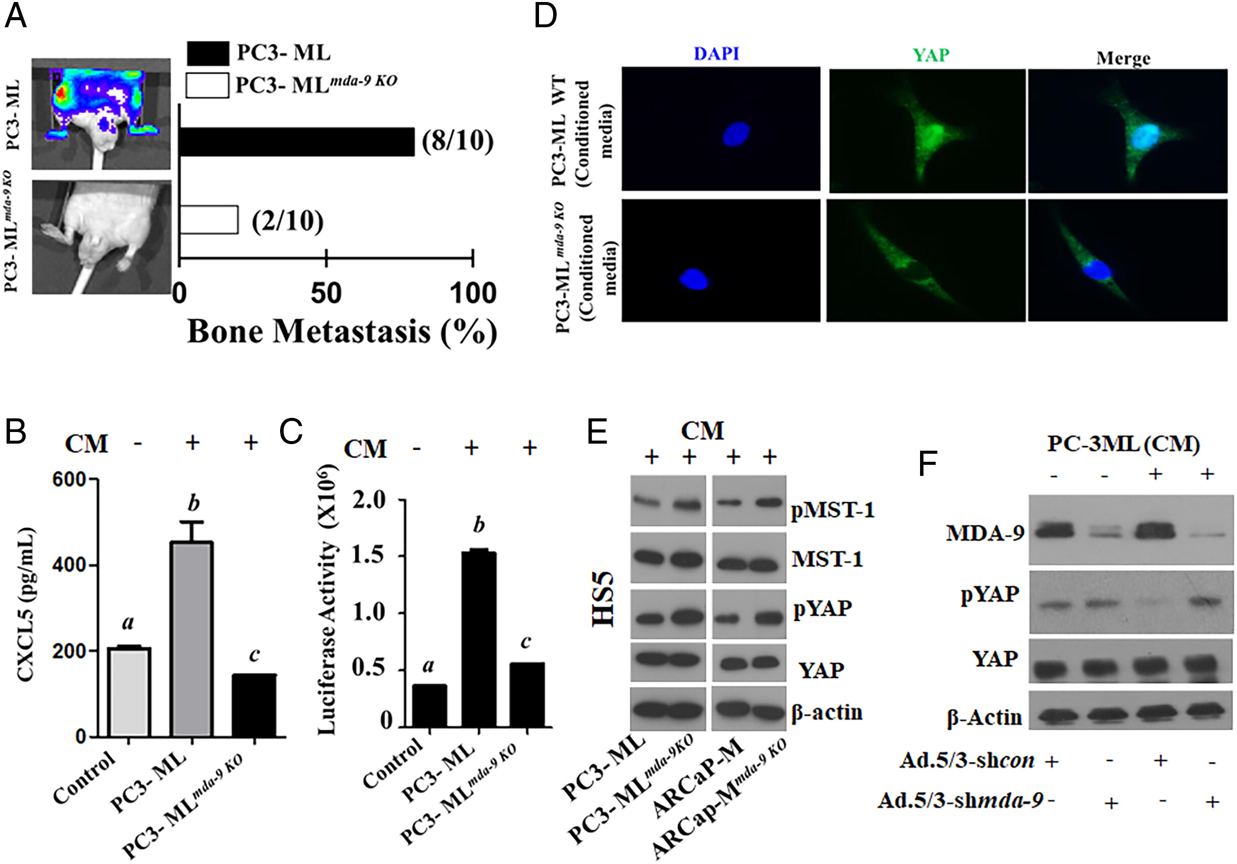 pnas.2307094120fig04.jpg