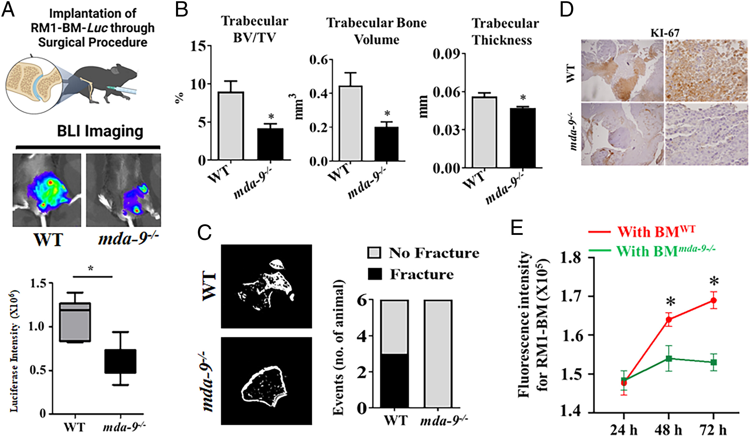 pnas.2307094120fig02.jpg
